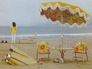 Neil Young / On The Beach / Vinyl / Sunshine Pop / Surf / Reprise Records