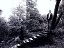 TIMBER TIMBRE NEW VINYL