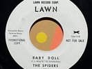 garage rock rockabilly 7” THE SPIDERS & LINK WRAY Baby Doll Run Boy  Mp3 Lawn
