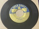 Persians 1962 DOO WOP 45 Gee What A Girl / Love Me Tonight GOLD EAGLE VG++  HEAR
