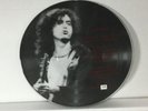 Rare Led Zeppelin live White Summer limited edition vinyl lp picture disc