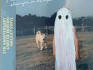 Phoebe Bridgers - Stranger in the Alps GALAXY VINYL LP 5th Anniversary IN HAND