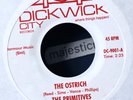 LOU REED PRE VELVET UNDERGROUND THE PRIMITIVES THE OSTRICH 7