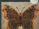 House Of Love, The The House Of Love NEAR MINT Fontana Vinyl LP