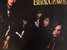 Shake Your Money Maker by The Black Crowes (LP, 2021, US,  B0031874-01, NM)