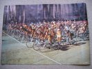 Queen Jazz 'Bicycle Race' poster 1978 full size poster