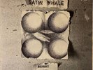 Satin Whale - Desert Places - LP - Vinyl