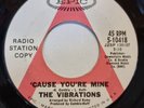 The Vibrations Cause You're Mine Epic Demo Northern Soul Oldie Stomper