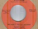 HOAGY LANDS*WHY DIDN'T YOU LET ME KNOW*NORTHERN SOUL*THE SPECTRUM LABEL*LISTEN