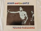 Adam And The Ants young parisians 1978 Portugal