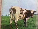 Pink Floyd - Atom Heart Mother - 1970 Harvest LP