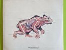 Blood Cultures; Oh Uncertainty  A Universe Despairs. Factory Sealed Vinyl Record