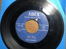 RIVIAIRES 45 The Bug /Mocolotion 1964 Garage Surf Instro Rocker Hot Rod Mod ADEN