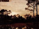 Silver Jews Starlite Walker  (Vinyl)  12