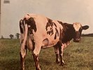 Pink Floyd - Atom Heart Mother