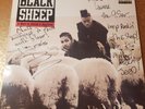 BLACK SHEEP A Wolf In Sheep's Clothing LP BLACK 12