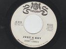 TEEN  45 - JERRY LANDIS ( aka PAUL SIMON )- JUST A BOY  -HEAR 1960 PROMO WARWICK