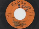 ROCKABILLY bw TEEN 45 - CARROLL BROTHERS -  MY GAL IS RED HOT  -HEAR -1958 CAMEO