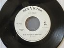 elvis presley blue moon of kentucky 45 ￼rpm for promotional use only￼ Mint