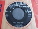 Elmore James And His Broom Dusters - Wild About You 1956 USA 45 MODERN 1st