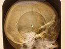 Shadows - Apache X-RAY SKULL BONES RECORDS USSR 186