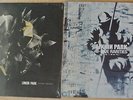 LINKIN PARK  Living Things LP + B-Side Rarities LP Vinyl Sealed
