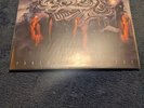 ARMORED SAINT 2 LP PUNCHING THE SKY NM VINYL anthrax heavy metal