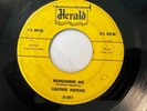 Blues 45 / Lightnin' Hopkins 