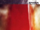 Nine Inch Nails The Fragile  (Vinyl)  12