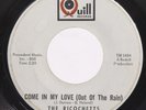 Ricochetts 45 rpm Come in My Love & Losing You 1966 Quill Record Garage Rock VG+