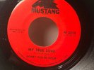 rare MOD Dancer  NORTHERN SOUL Bobby Fuller Four THE MAGIC TOUCH Mustang 45 NM