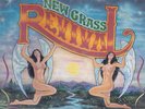 NEW GRASS REVIVAL -- 