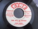 (Elmore) Elmo James - The Sky Is Crying 1960 USA 45 FIRE