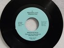 BROTHER LOVE  - PRECIOUS DOVE / BABY PLEASE 45 Vinyl Record - RARE 70's SOUL