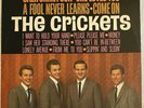 THE CRICKETS California Sun BEATLES COVERS Buddy Holly's Group BEAT Garage EX/EX