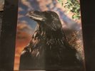 THE STRANGLERS - The Raven LP - 1979 UK 1st Press - 3D Sleeve and 1st Inner Art