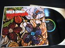 VINTAGE LP Wild Honey  The BEACH BOYS ,Original-Brian Wilson EXC
