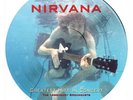 Nirvana Greatest Hits in Concert Limited Edition Picture Disc Vinyl GRUNGE ROCK