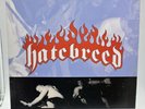 Hatebreed -Satisfaction is the Death of Desire -LP- 1st press-Victory Records