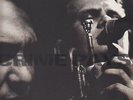 Element Of Crime Crime Pays NEAR MINT Polydor Vinyl LP