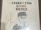 SAM FENDER SEVENTEEN GOING UNDER HAND SPRAYED HAND SIGNED Autographed VINYL LP ,