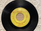 Terry Lee Hey Baby Hey Sugar The Revealers Part 3 Red Fox 45 Vinyl Record #3479