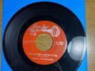 SUNNY & SUNLINERS 45 One Who’s Hurtin Is You -1960s Texas Northern Soul Chicano