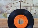 Vintage 45 Record The Charts Deserie/Zoop Everlast Records, 1957