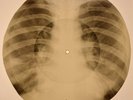 Elvis Presley - Love Me Tender  X-RAY BONES RECORDS USSR 196