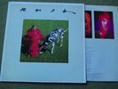 RUSH - SIGNALS LP - Nr MINT A2/B1 UK 1982 ORIG