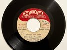 The Braves UNRELEASED 1959 ACETATE 45 Chicago Teen Rockabilly Ballad Rare HEAR
