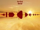 Kate Bush - Aerial 180g Double Vinyl LP Remastered 2018 Fish People