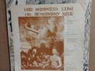 Led Zeppelin Live On Blueberry Hill Bootleg Vinyl LP - Rare Bootleg record