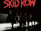 SKID ROW.(1989 EU/German 11-Track Vinyl LP. The debut album with inner sleeve)